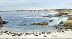 San Diego Seals
