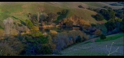 38510-400x189