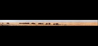 38536-400x189