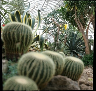 38655-380x360