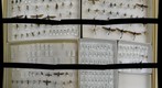 TestDrawer2