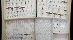 HymDrawer1 (ISO100)