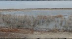 Republican River Wetlands at Alma, Nebraska
