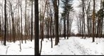 University of Guelph - Dairy Bush - 16 - Dec 09 2009 