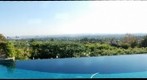 A View From The Palisades
