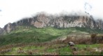 At the base of Roraima