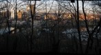 Downtown Pittsburgh from Grandview Park, through the trees