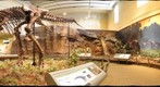 Cretaceous Hall