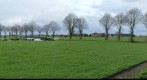 A dutch landscape