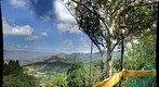 Valles de Aragua - Venezuela
