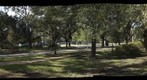 Hand-Held 29x1: Field 2 and Solar Flare - a 360-Degree Panorama