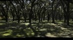 Hand-Held 29x1: Field 1 - a 360-Degree Panorama