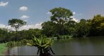 lago do parque de São José dos Campos
