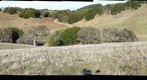 Mount Diablo from Morgan Territory Right image