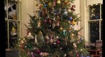 Xtree2