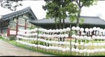 Bongeunsa Temple pathway in Seoul