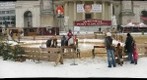 Pony Rides in front of Karlskirche