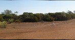 Outback, WA (left eye)
