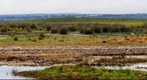 Sa Albufera - Mallorca