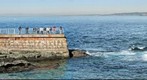 San Diego Seal Wall