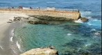 San Diego Seal Beach