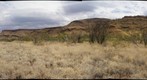 Wittenoom (right eye)