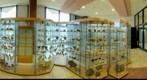 Mineral collection, Museum of Earth Sciences