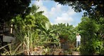Maui Home Garden