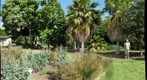 Maui Nui Botanical Garden,Kahului, Maui ,Hawaii