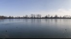 The Ponds of Manom / Les étangs de Manom