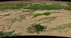 Maui Nui Botanical Garden Coastal Strand Ecosystem Kahului Maui Hawaii
