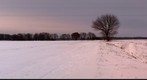 Snow landscape, Germany