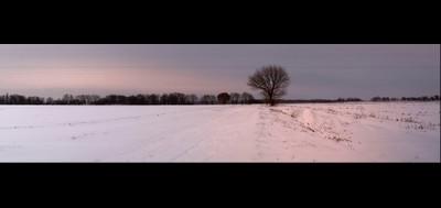 39964-400x189