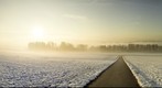 frieswil winter