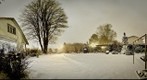 fresh snow