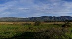 More Mesa