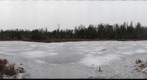 Byron Bog Winter 2009
