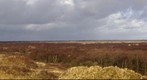 Duinen, Schiermonnikoog