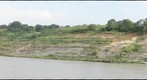 Panama Canal - Lirio Norte - East bank