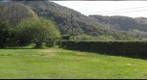 Golfing