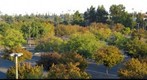 Looking south east across the parking lot at the Alex G. Spanos Sport Complex - California State University, Sacramento