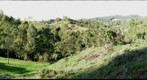 Finca El Bosque - La Ceja, Colombia