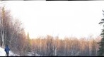 snyder cabin alaska