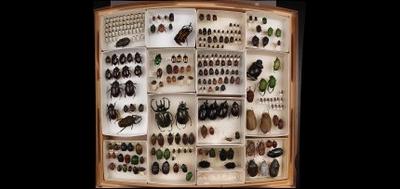 40758-400x189