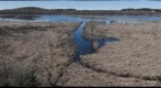 Concord Great Meadows National Wildlife Reserve 
