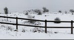 Winter Grazing