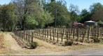 Quivira Biodynamic Winery in Dry Creek Valley, Sonoma County, California, March 23rd, 2008