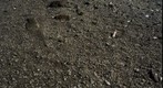 RiverBed 20100116 - 05