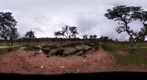 Dolmen de Lacara