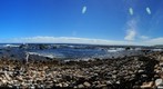 Beach at the Cape of good Hope, South Africa